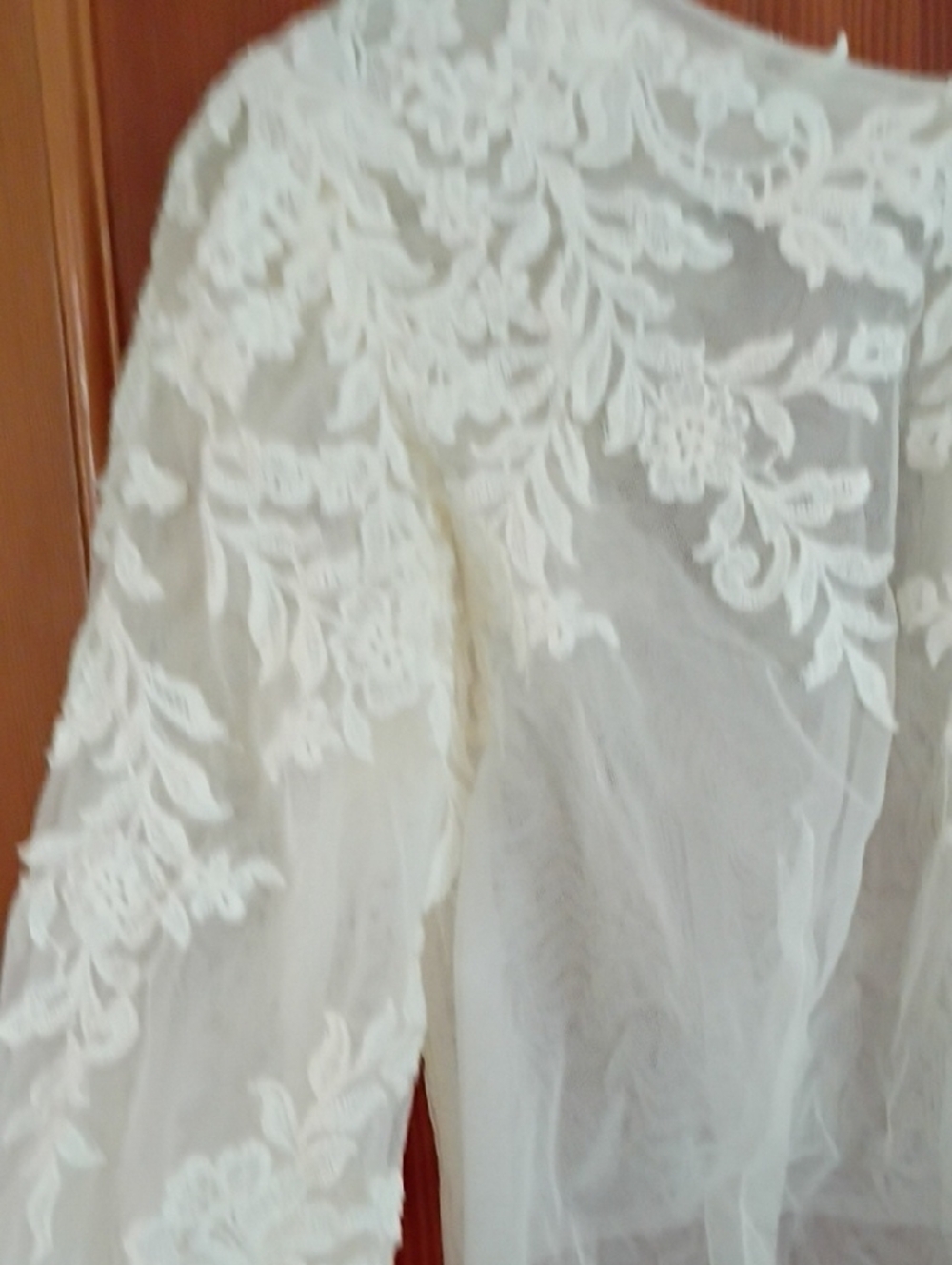 Delicate Ivory Lace Sheer Crop Top - Women - Picture 3 of 10